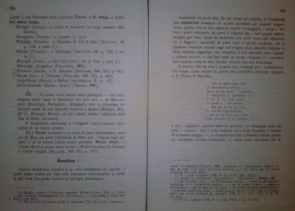 Garbini, A. (1925) Antroponimie ed omonimie nel campo della Zoologia popolare